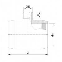 anteprima
